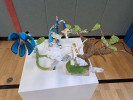 Muve26 (4)